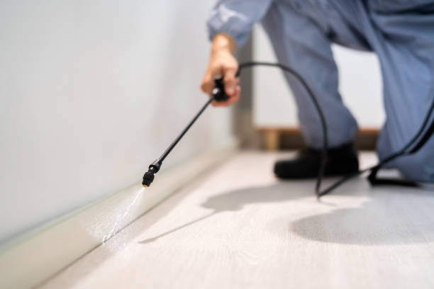 Certified termite inspector examining foundation in Taylorsville